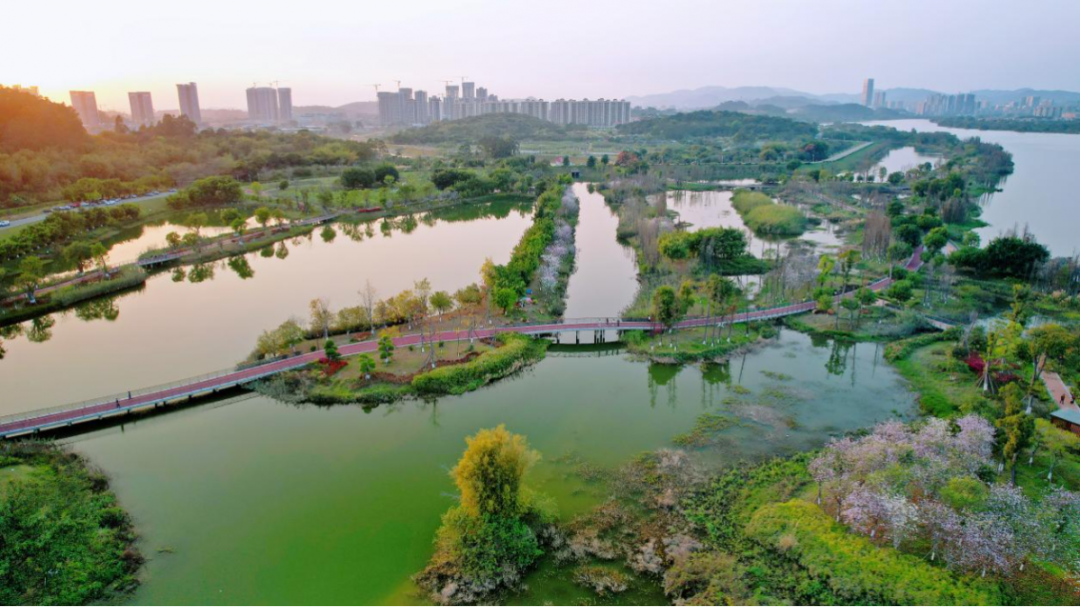 增城叠溪花园推出大别墅，单价9000元/㎡！