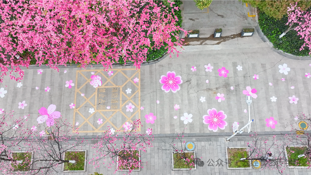 不负春光，自然绽放——我校2026春季校园开放日暨樱花节文创市集圆满举办 第 1 张