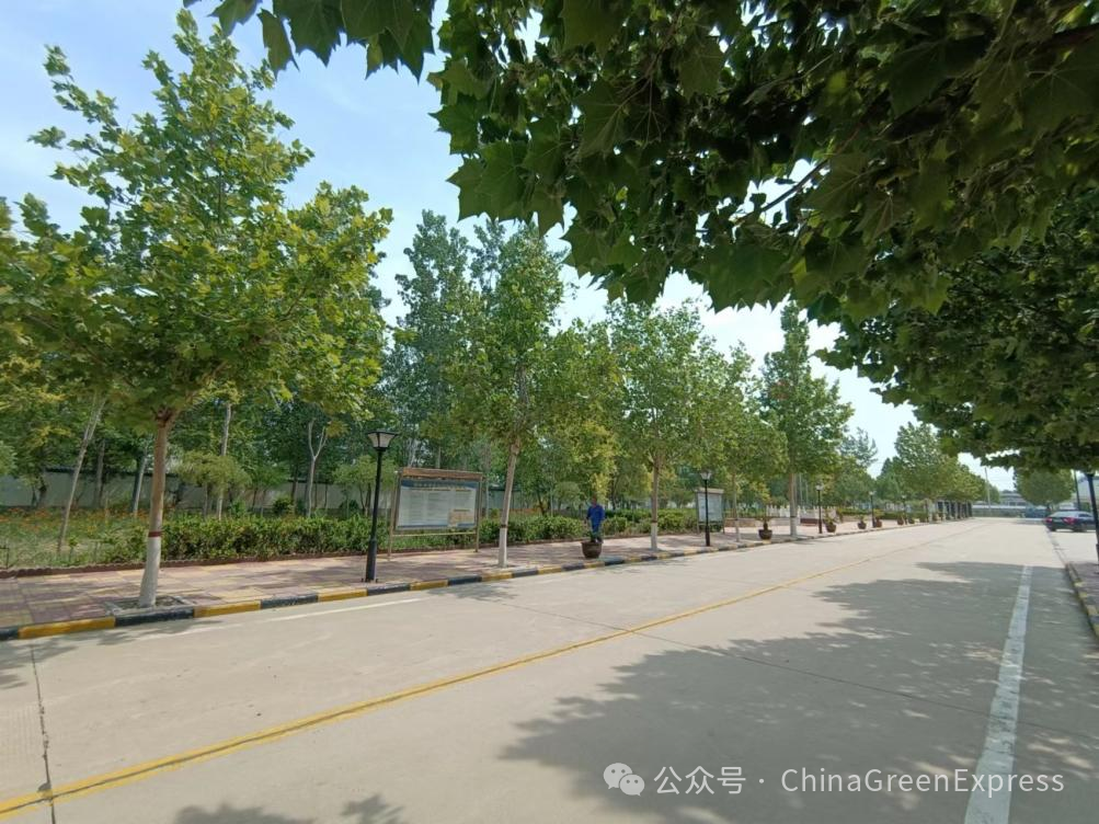 (厂区绿化)4在1,2,3号仓库房顶安装太阳能发电,厂区马路路灯全部更换