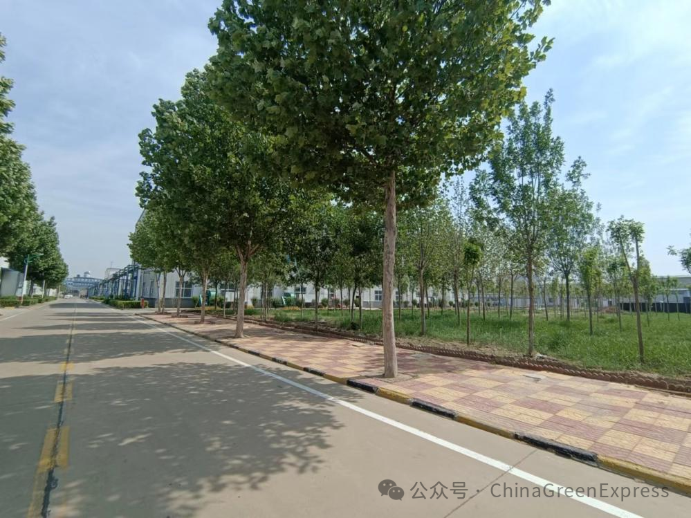 (厂区绿化)4在1,2,3号仓库房顶安装太阳能发电,厂区马路路灯全部更换