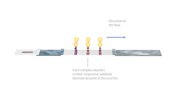在 COMSOL 中模拟新冠肺炎快速检测装置的图4