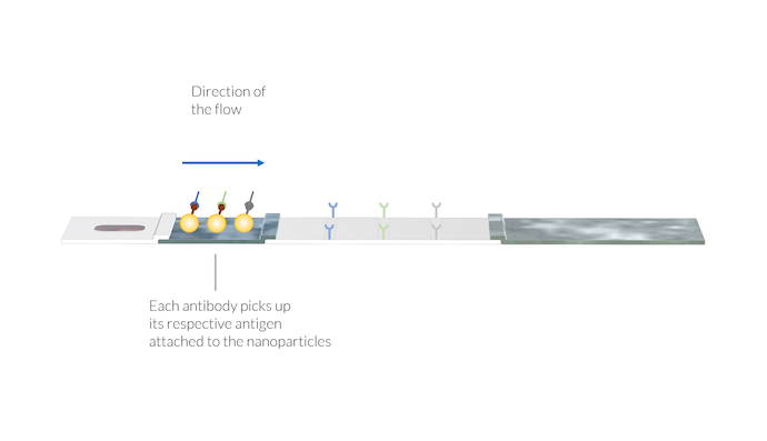 在 COMSOL 中模拟新冠肺炎快速检测装置的图3