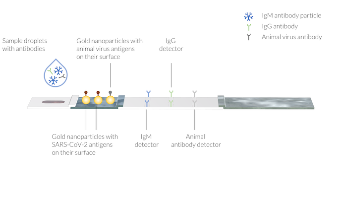 在 COMSOL 中模拟新冠肺炎快速检测装置的图2