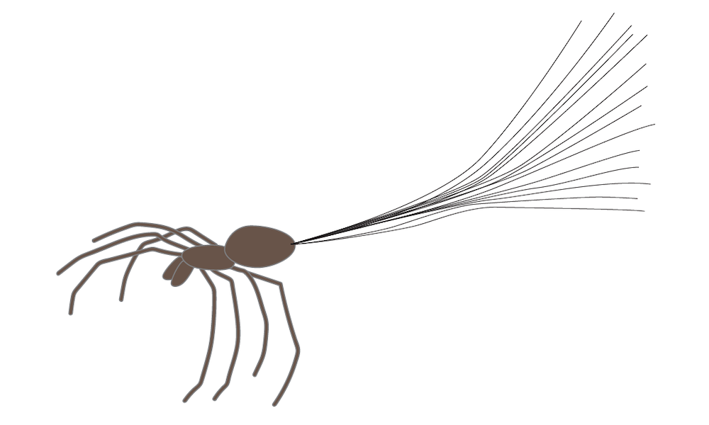 COMSOL多物理场仿真：蜘蛛会飞吗的图3