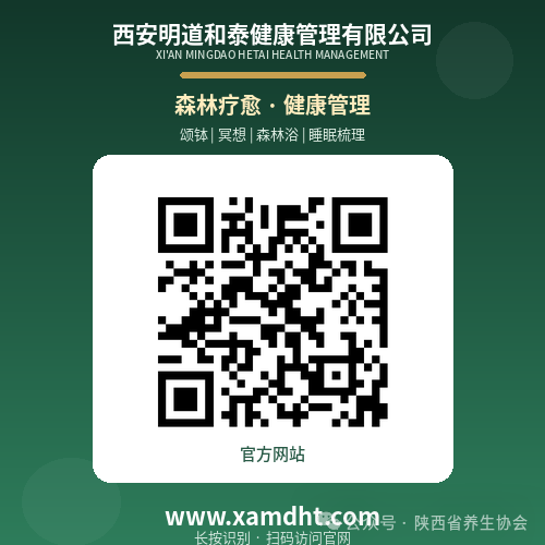 明道和泰网站.png