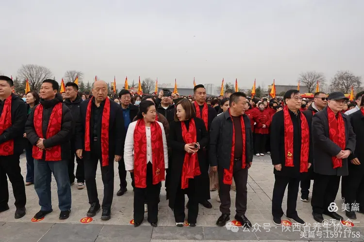 I2ZmZmZmZg_750_0_0_0_q80 (4).jpg