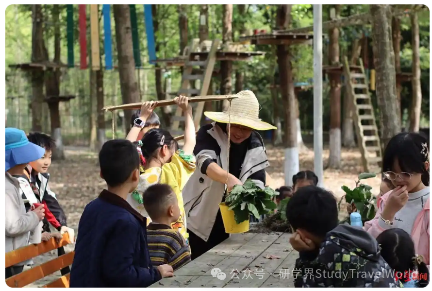 春假+清明6天连休带火研学热，成都有机构单日客流增长近10倍