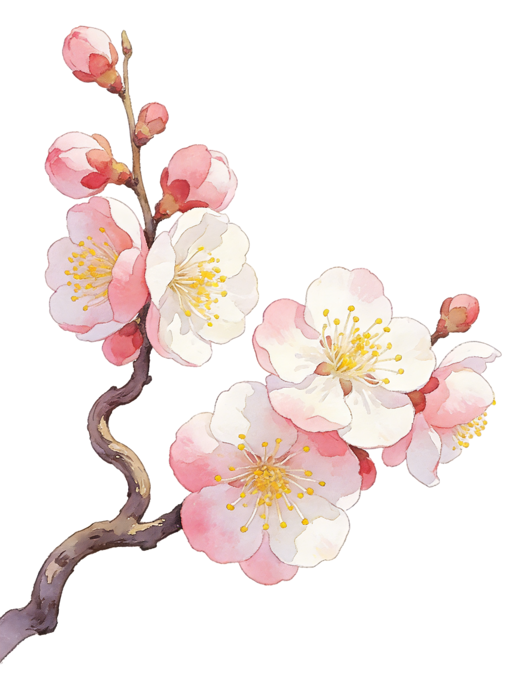 生成特定图片 (13) (2).png