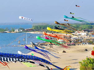 image001.png