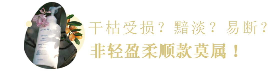 标题3.png