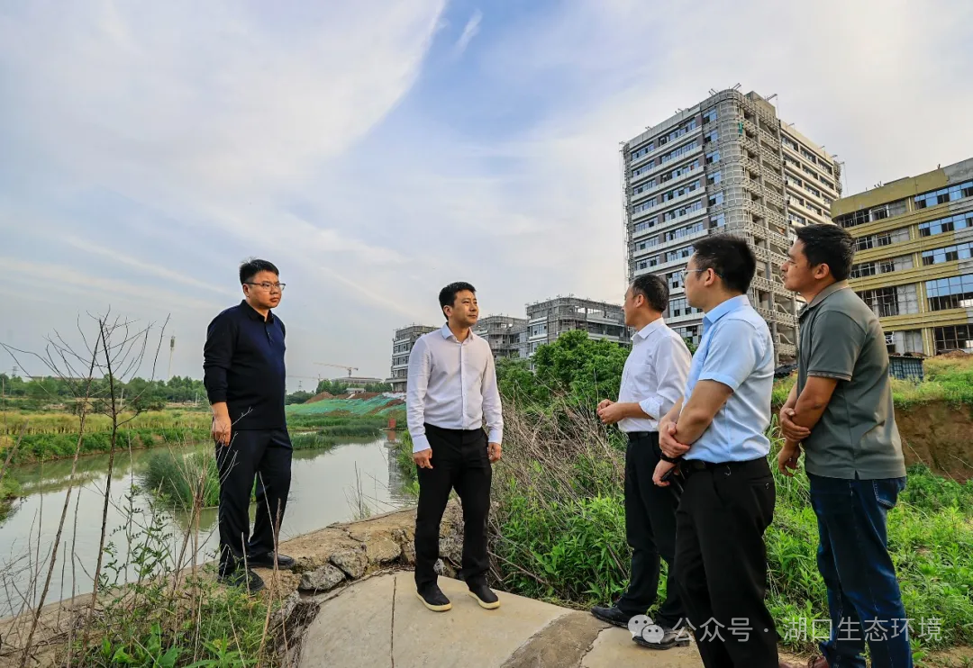 湖口县长陈洋调研督导生态环境保护工作
