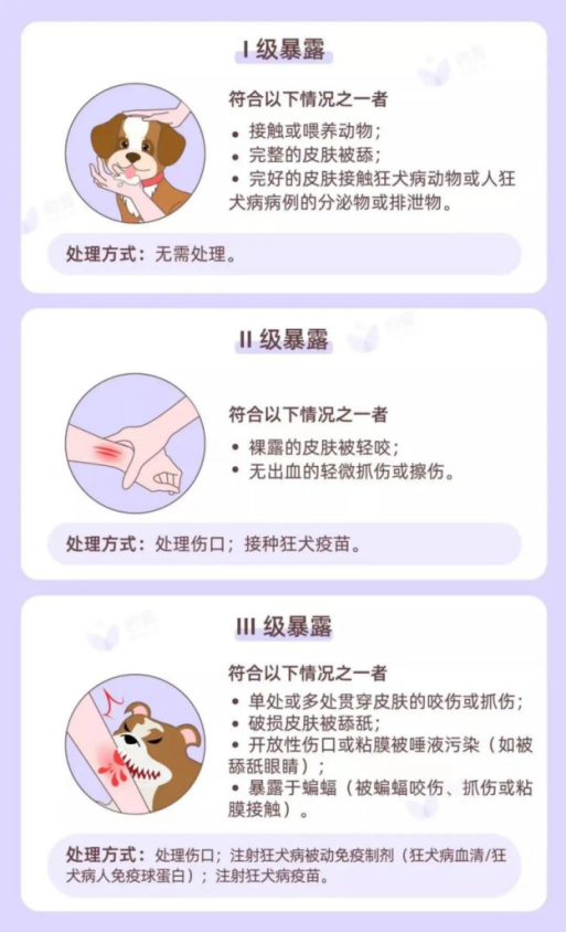 动物门诊用什么x光机被咬伤，不要怕，家门口就有“动物致伤处置门诊”_https://www.jmylbn.com_新闻资讯_第8张