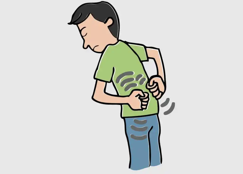 猪输尿管怎么吃【今日科普】输尿管支架：小小“猪尾巴”，大大讲究！_https://www.jmylbn.com_新闻资讯_第5张