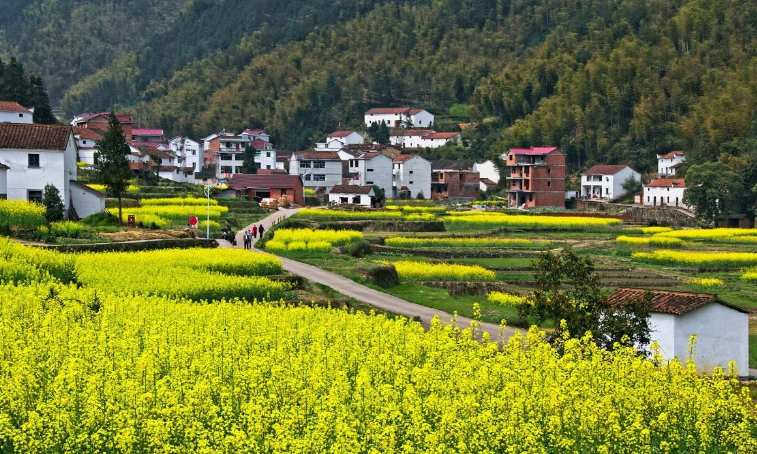 保康县寺坪镇绘就和美乡村新图景