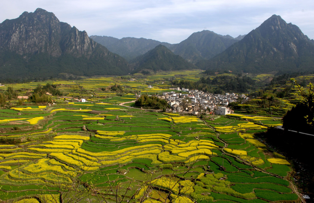 枣阳市琚湾镇祝冲村新时代文明实践站文明实践赋能乡村振兴