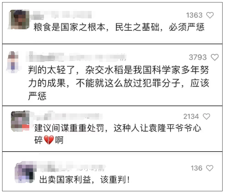 间谍窃取我国杂交水稻亲本种子！案件详情公布