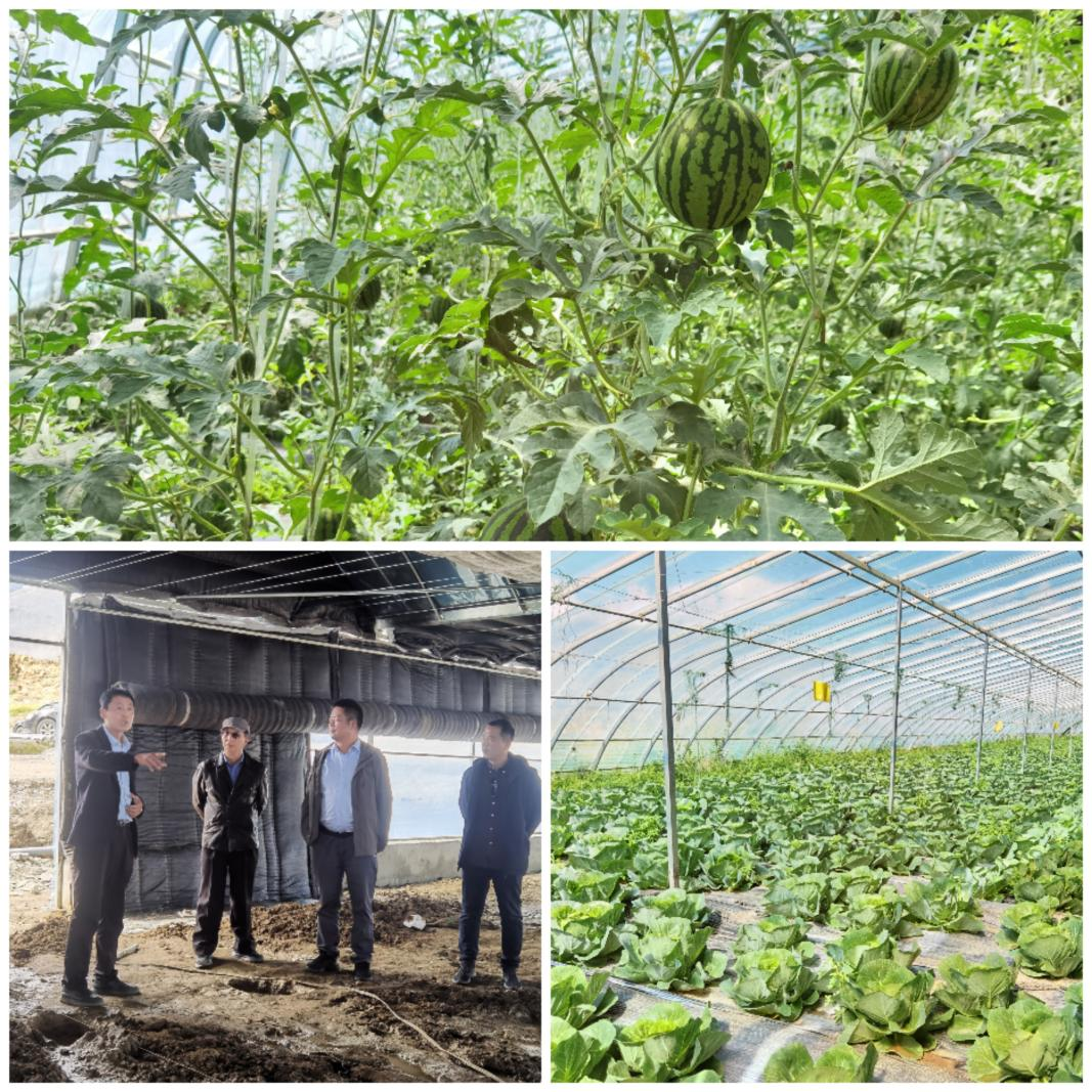 区党委组织部驻定结县江嘎村工作队以招商引资方式发展现代温室产业助