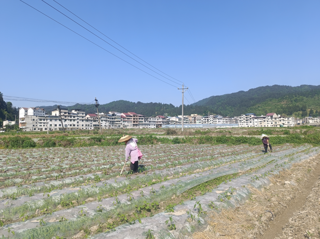 黄平县高铁规划图片