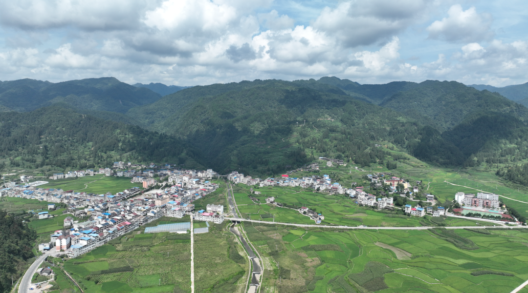 黄平县上塘镇:壮大村集体经济,打造乡村振兴强引擎