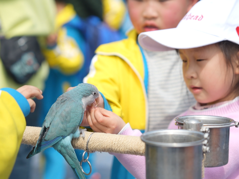 四川达州：春假研学达川｜赴一场人文、自然与红色的成长之约，7大宝藏点位全攻略(图7)