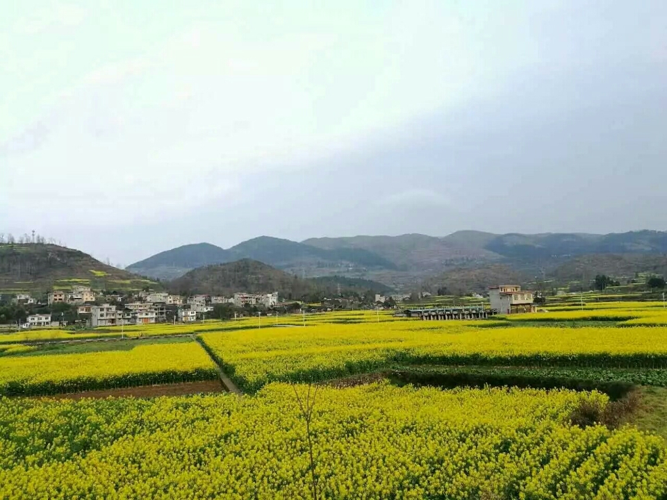 许家坝镇许家坝村图片