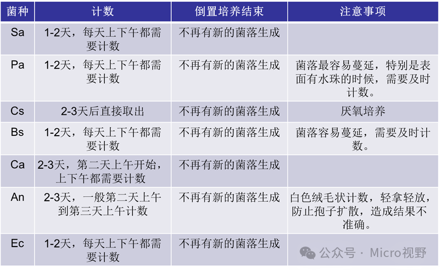 菌株的生长特点不熟悉，没有及时观察结果