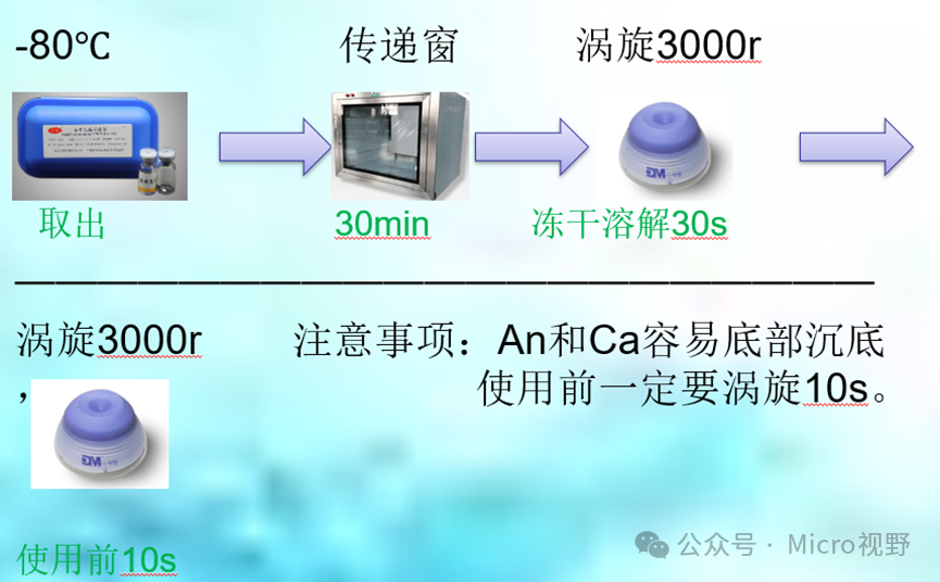 问题2是对定量菌株的使用不熟悉，可以按照我总结的来进行操作