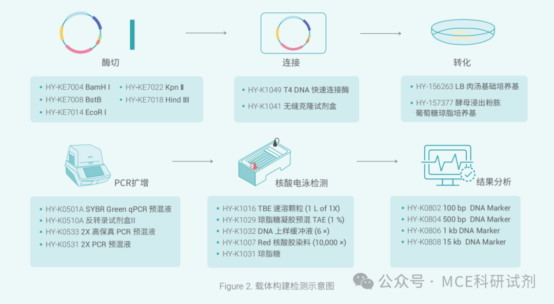 蛋白质表达与纯化手册 | MCE - 脉脉