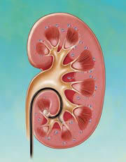 什么是输尿管镜什么是输尿管软镜碎石术？_https://www.jmylbn.com_新闻资讯_第6张