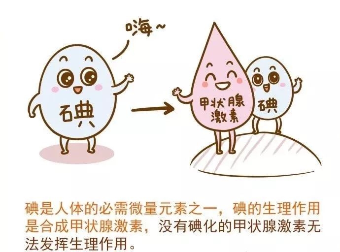 甲状腺癌与碘盐