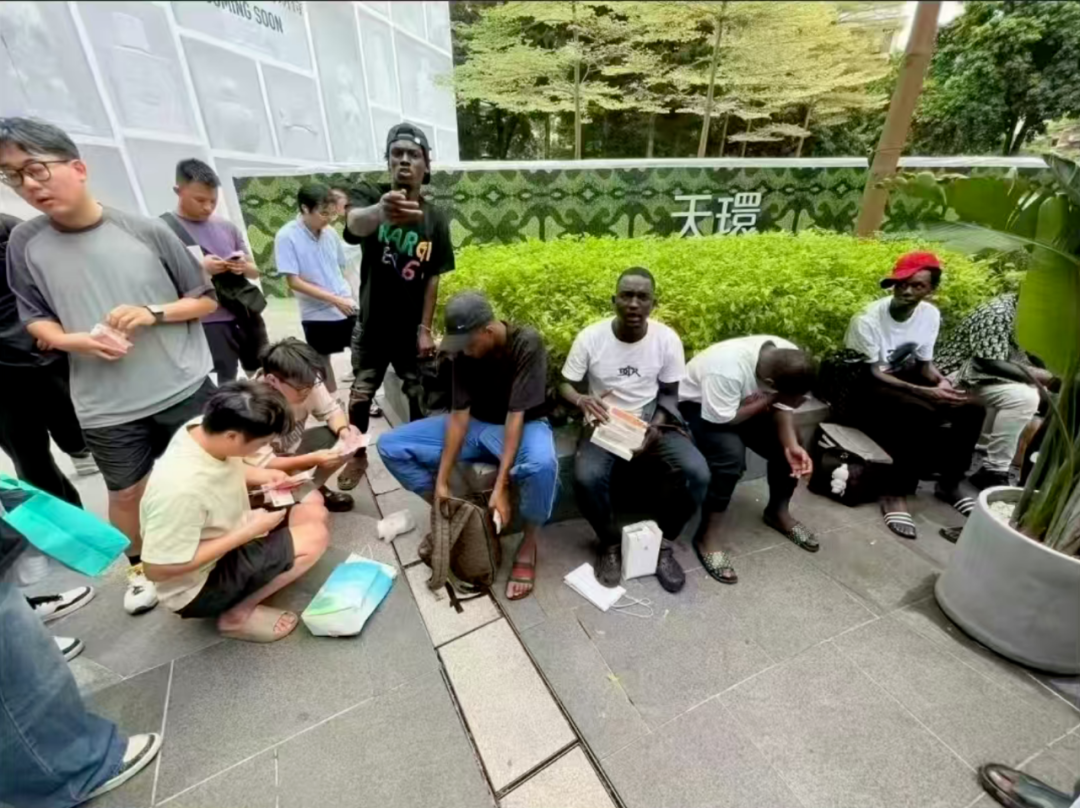 这不是抹茶蛋糕这是黄鳝的家