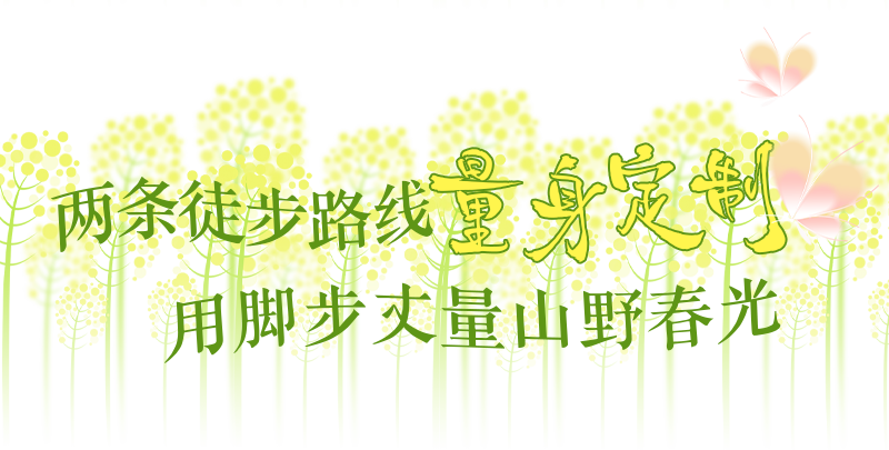2c6d20a8b365490a9efa129898d70dca.png