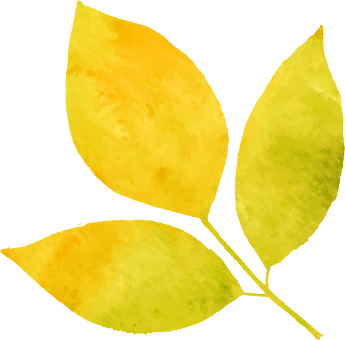 宫腔镜器械怎么安装七院科普丨检查子宫内部的“明灯”——宫腔镜的“前世今生”_https://www.jmylbn.com_新闻资讯_第6张