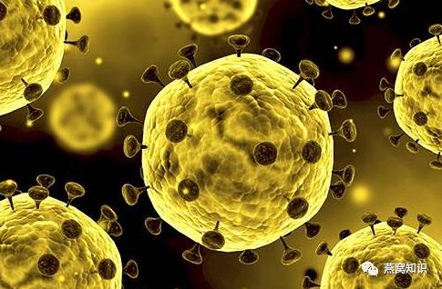 预防病毒，摄入燕窝酸是必不可少的！