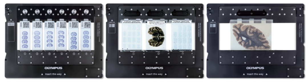 超快光學層切全景掃描系統