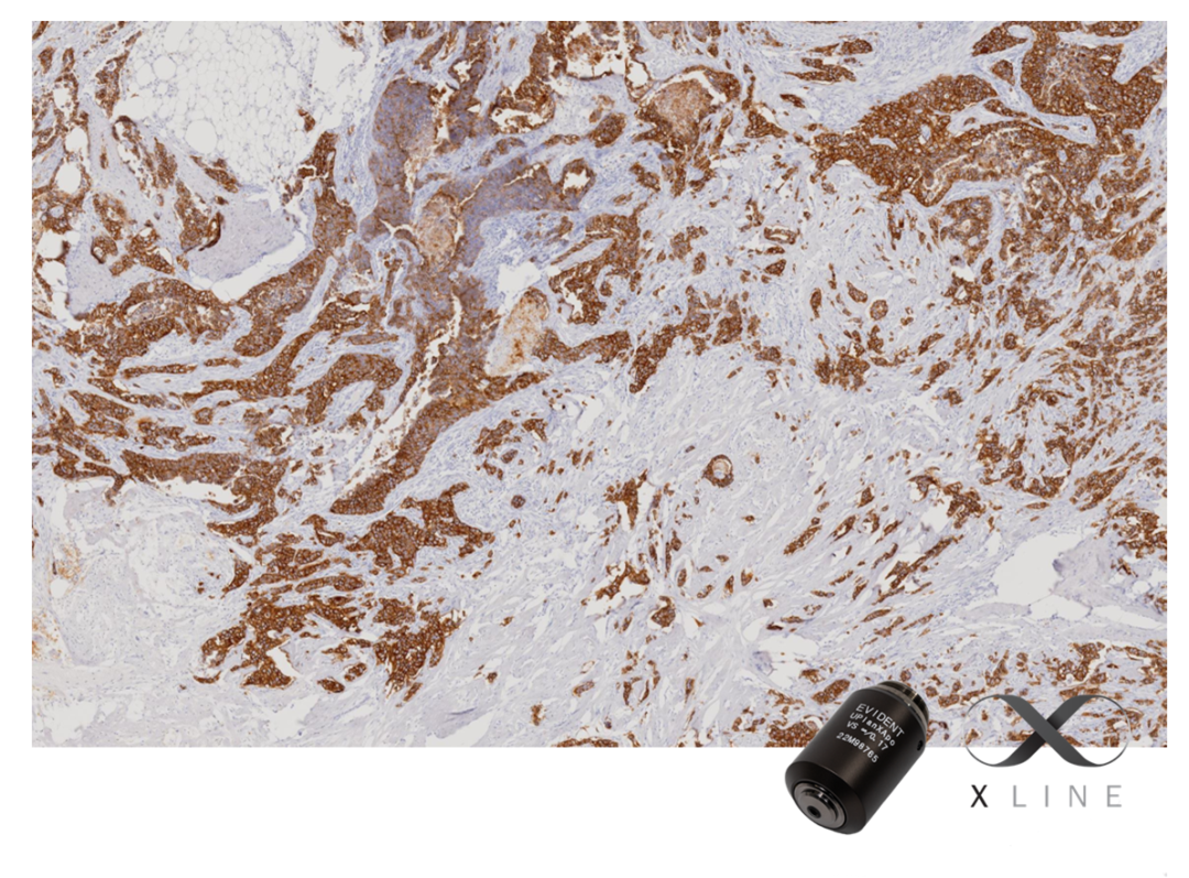 SLIDEVIEW VS-M1R全玻片掃描系統(tǒng)