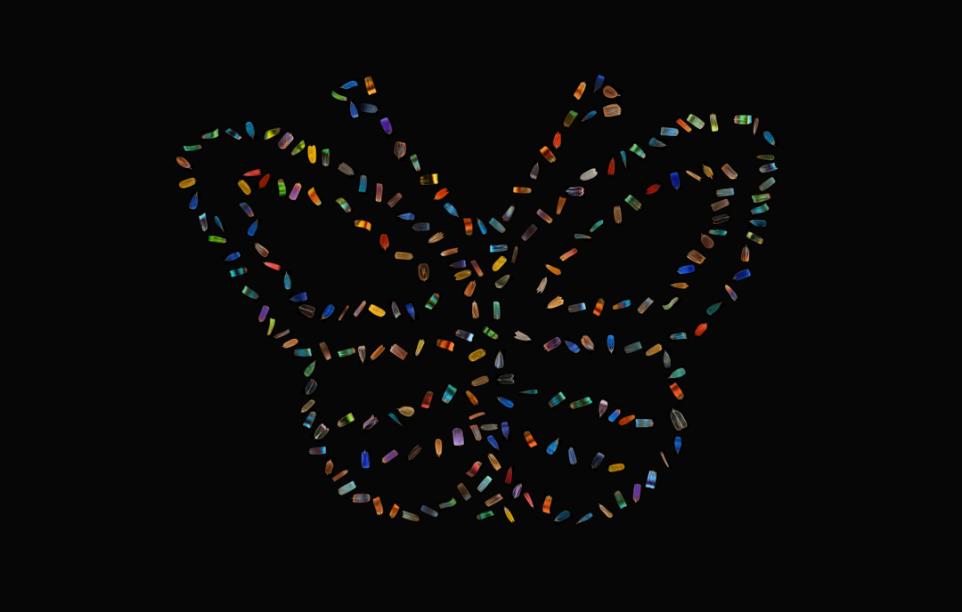 EVIDENT第五屆全球顯微圖像大賽獲獎(jiǎng)作品揭曉