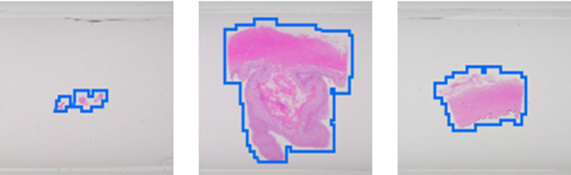 SLIDEVIEW VS-M1R全玻片掃描系統(tǒng)