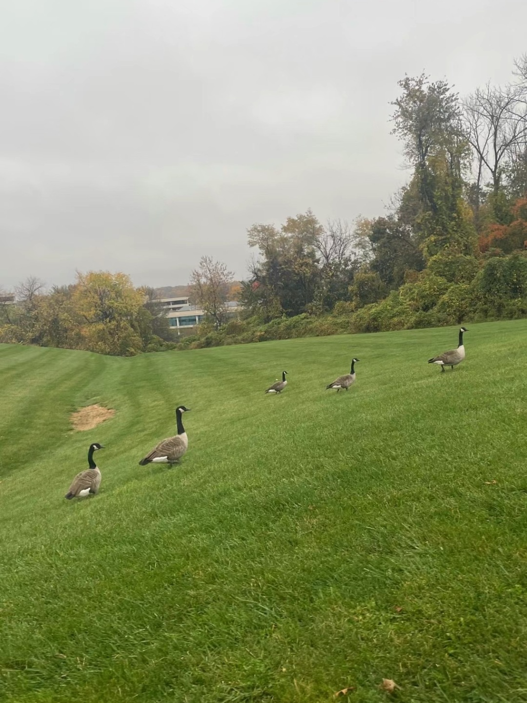 f5f309fe-f9a0-43ac-b47a-e27797ba8966