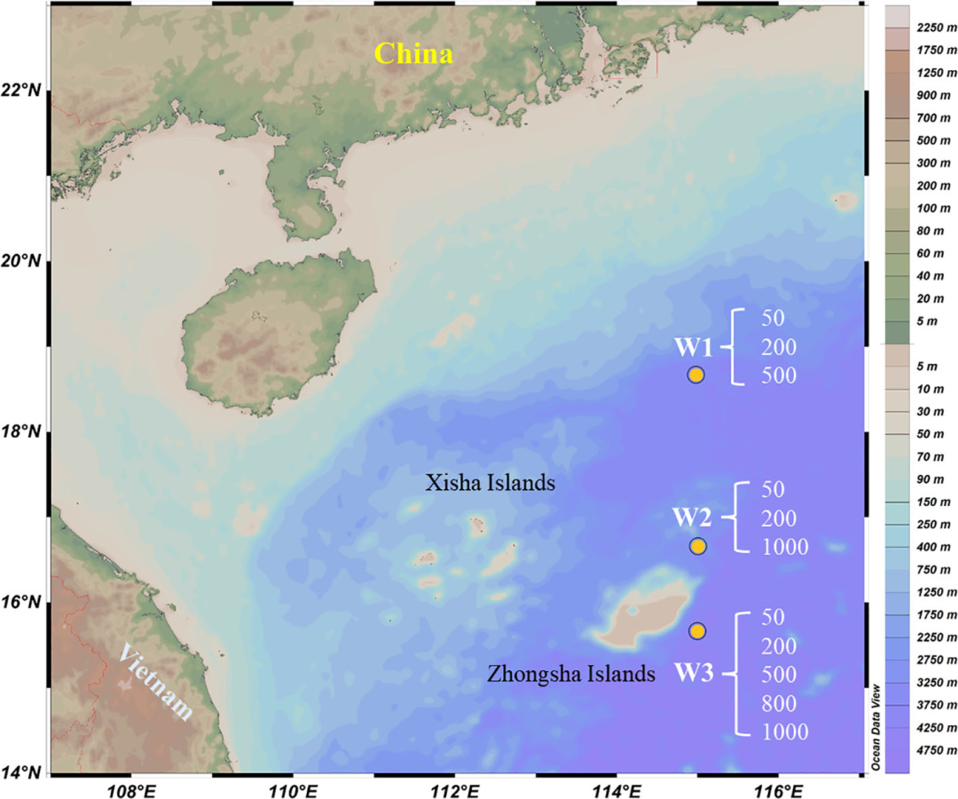 浮游生物泵助力南海微塑料分布输运机制研究