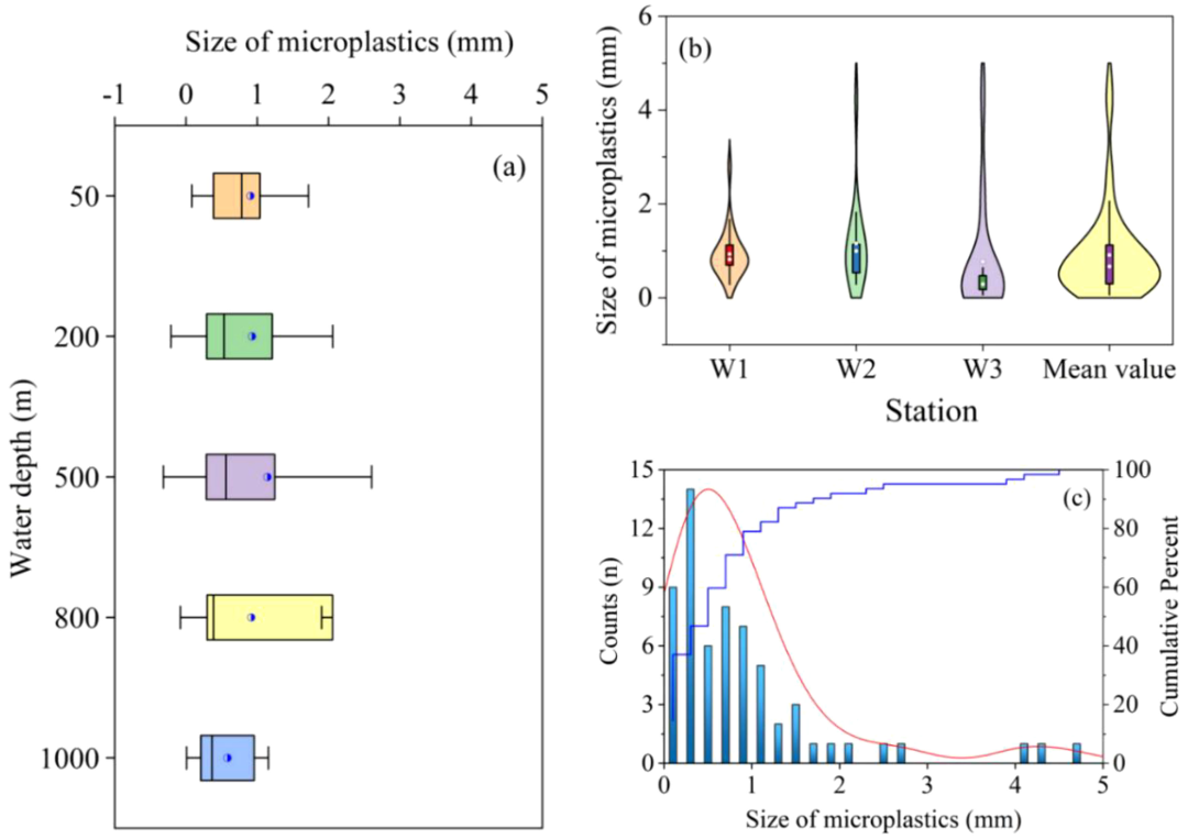 浮游生物泵助力南海微塑料分布输运机制研究
