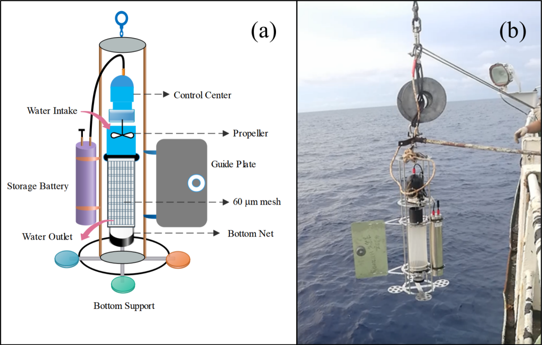 浮游生物泵助力南海微塑料分布输运机制研究