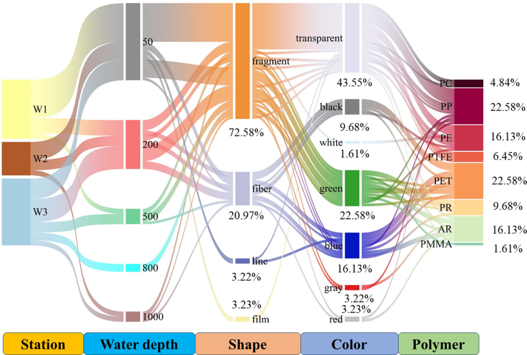 浮游生物泵助力南海微塑料分布输运机制研究