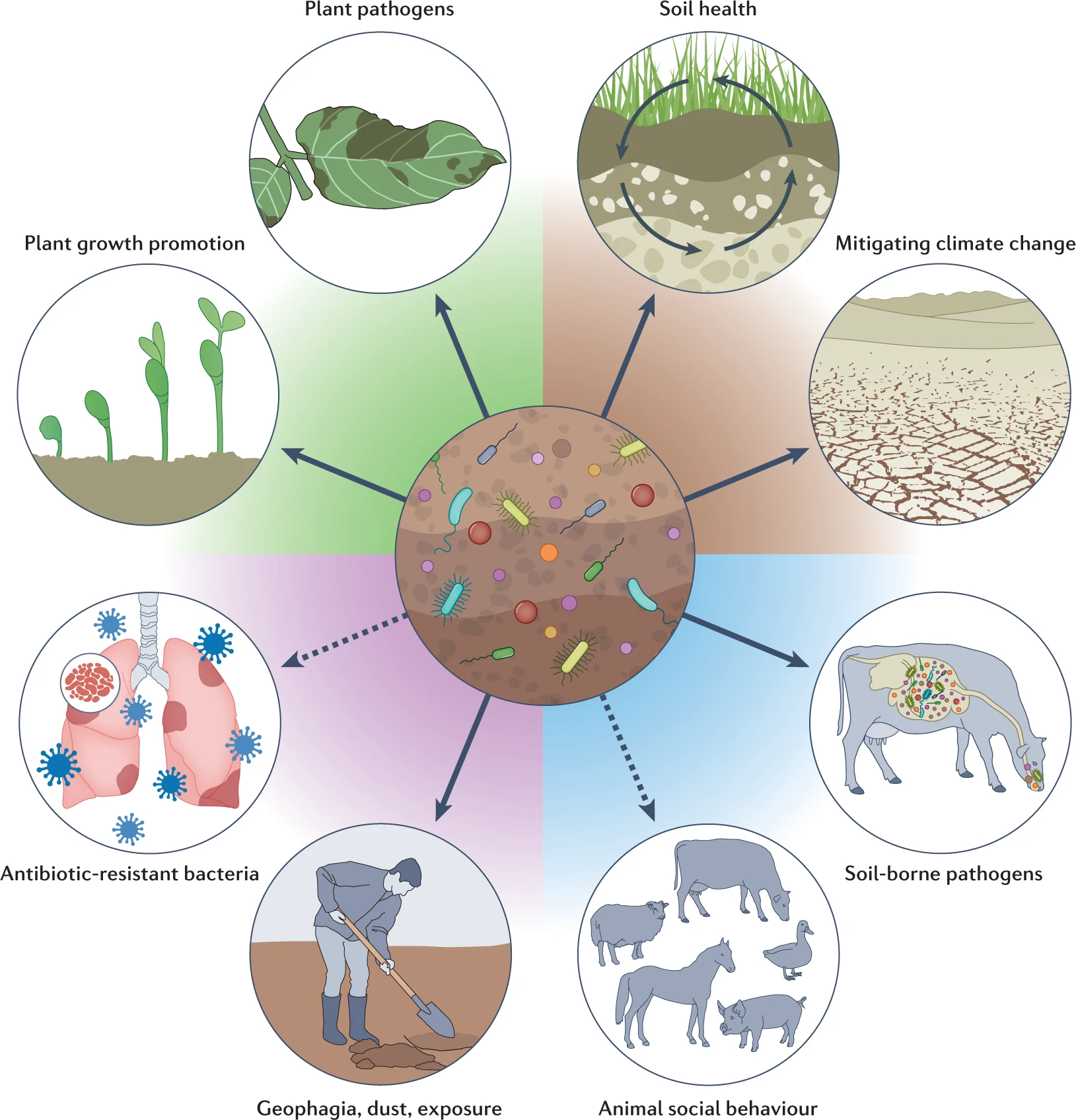 Nature RM（IF=78.297）土壤微生物组与大健康 - van der Heijden 教授最新文章(rm,state) - AI牛丝