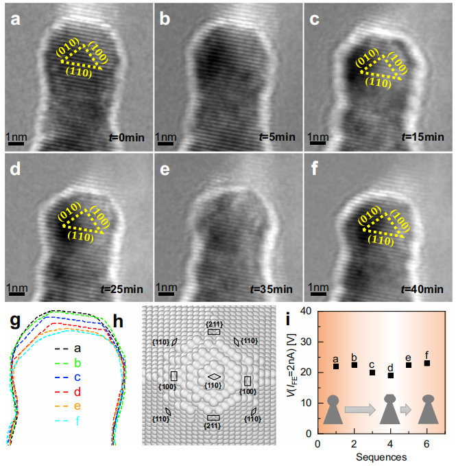 Nature子刊 | 揭示金属纳米结构中电场驱动的变形动力学机制