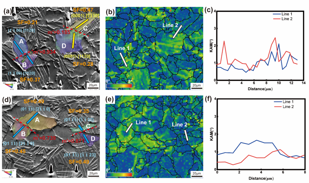 黑白之间的微观真相：扫描电镜与原位SEM如何揭示材料结构与演化