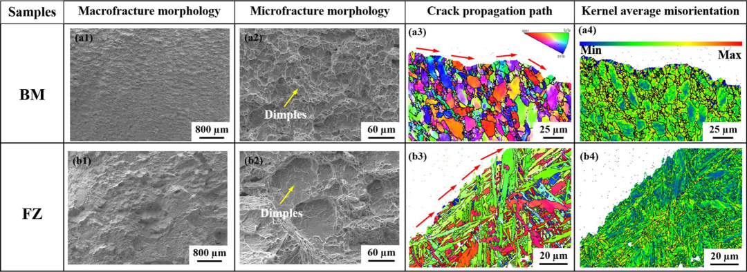 材料疲劳与裂纹：从宏观裂缝到微观起源