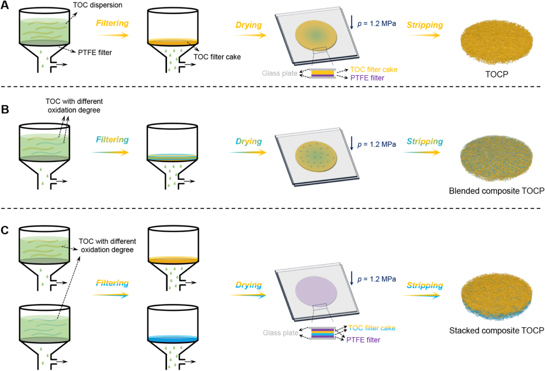 扫描电镜 | 低介电常数可调 TEMPO 氧化纤维素手抄纸用于高性能印刷电子基板