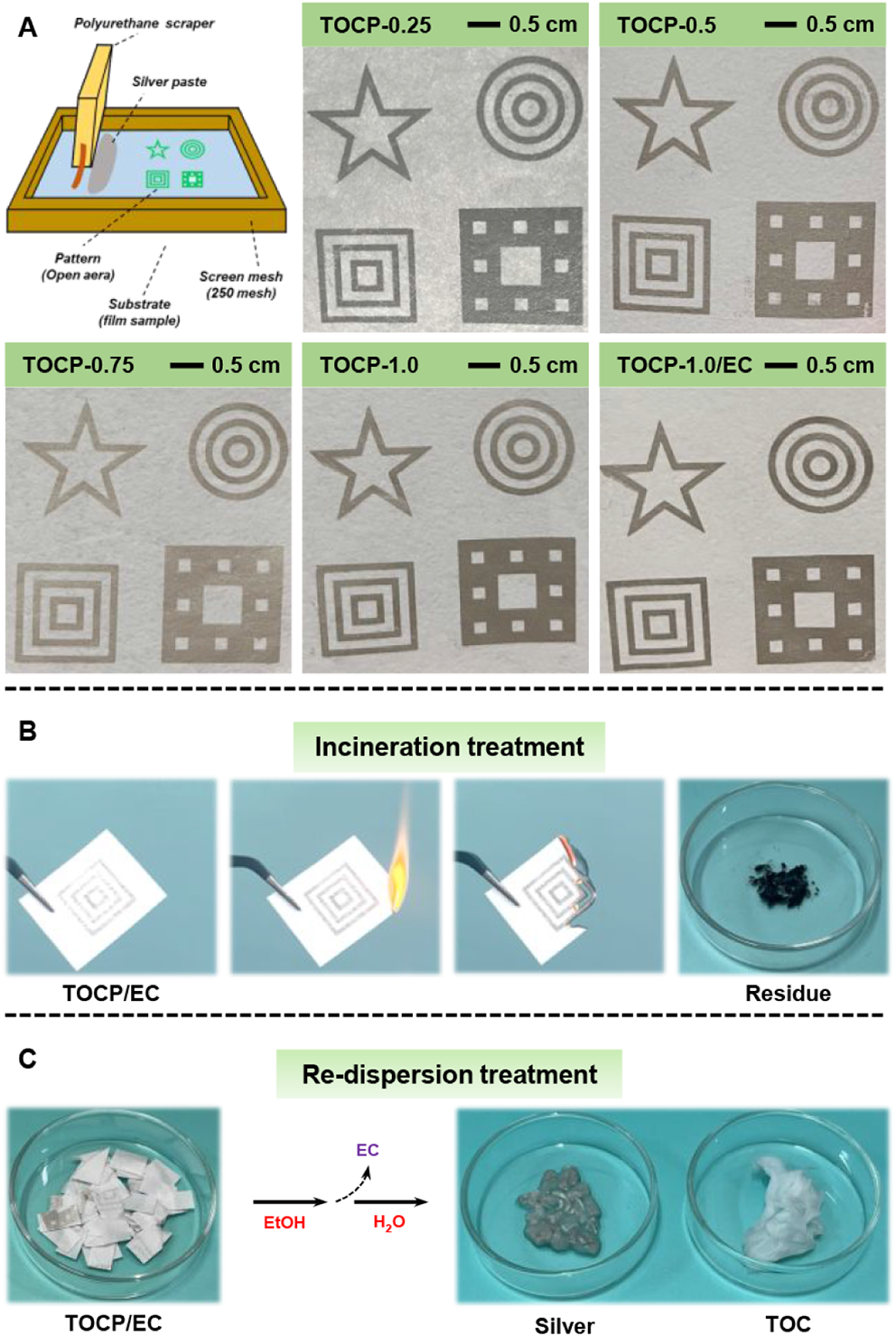 扫描电镜 | 低介电常数可调 TEMPO 氧化纤维素手抄纸用于高性能印刷电子基板
