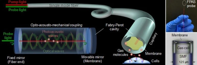 制冷型4096像素超高分辨率光纖光譜儀